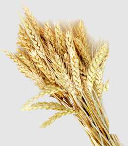 3868la������վ(����)�ɷ����޹�˾ - Make It Possible