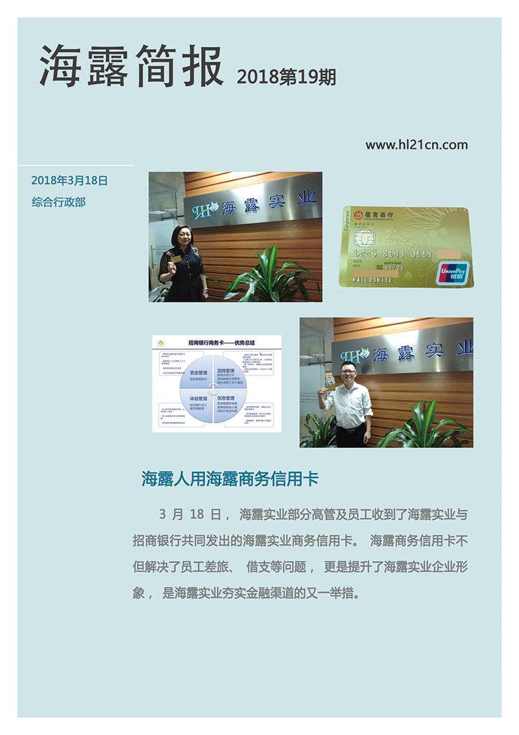 3868la������վ(����)�ɷ����޹�˾ - Make It Possible