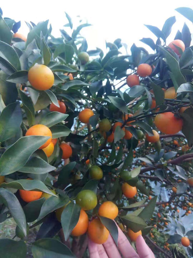 3868la������վ(����)�ɷ����޹�˾ - Make It Possible