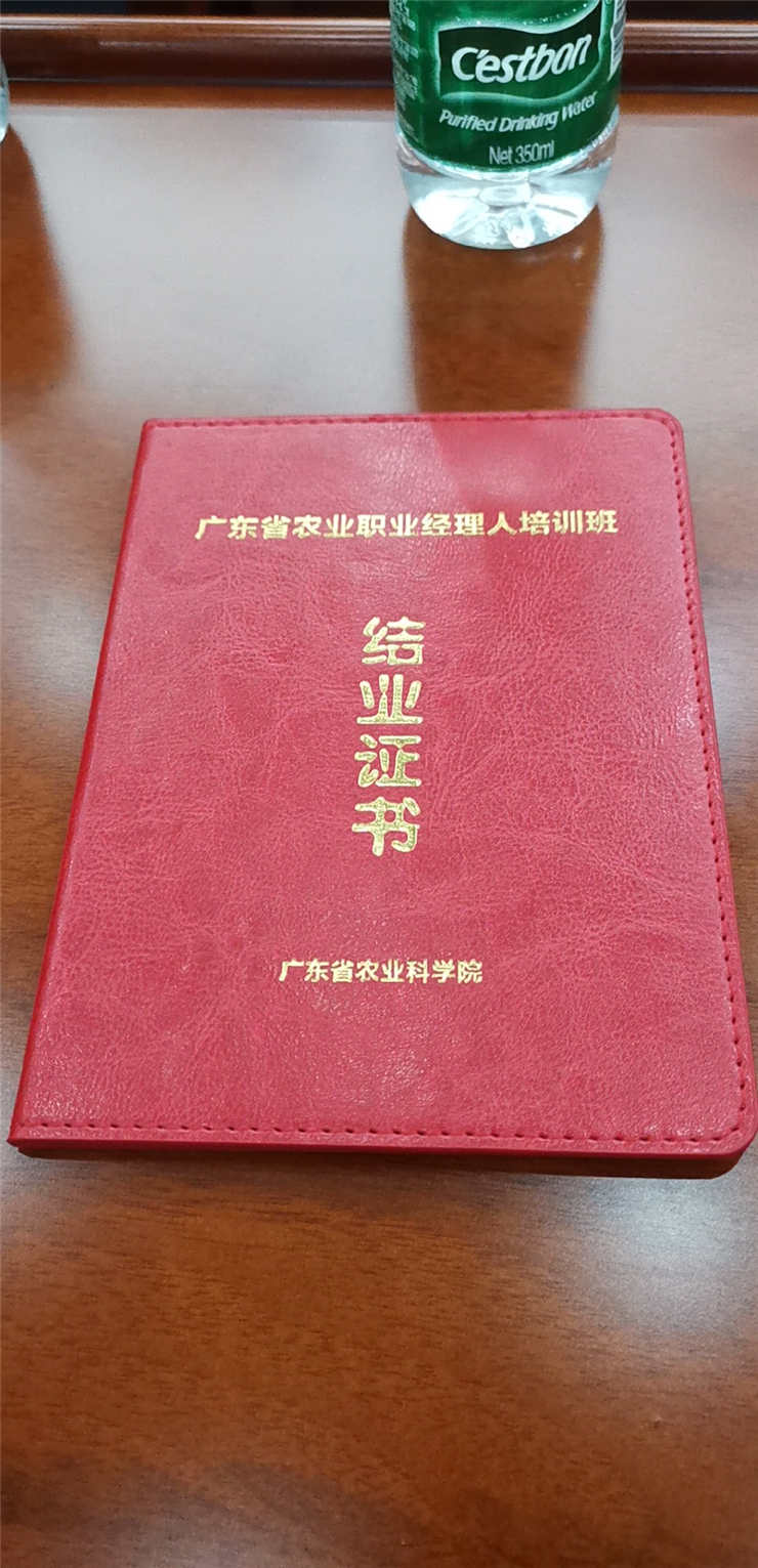 1-1Z419161613R5 3868la银河总站(集团)股份有限公司 - Make It Possible