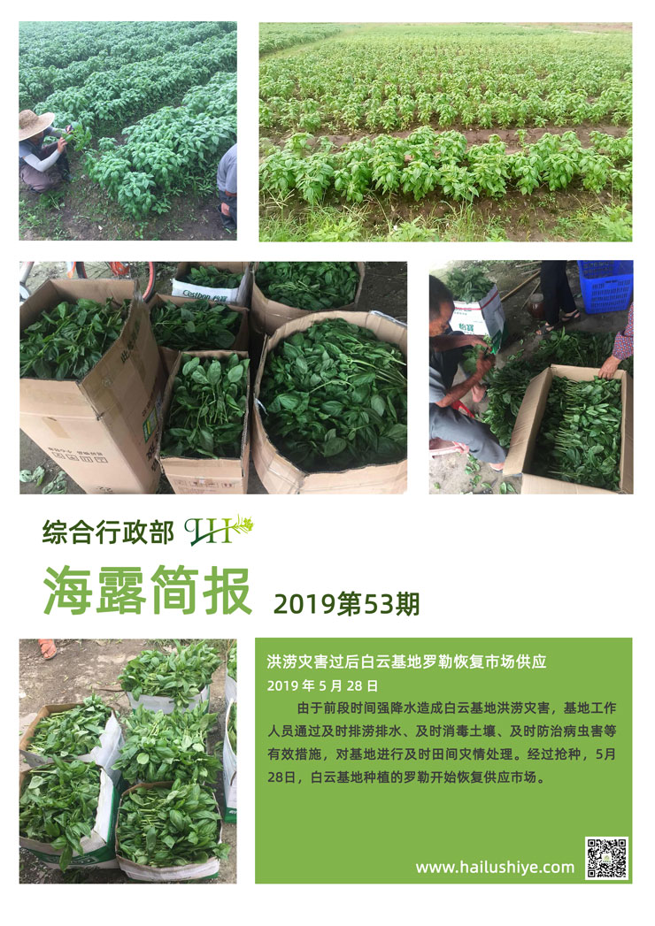 3868la������վ(����)�ɷ����޹�˾ - Make It Possible