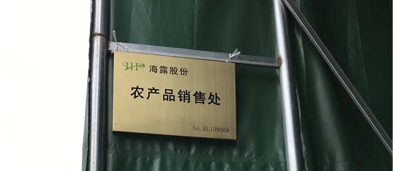 3868la������վ(����)�ɷ����޹�˾ - Make It Possible