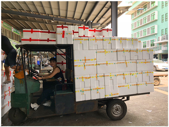 3868la������վ(����)�ɷ����޹�˾ - Make It Possible
