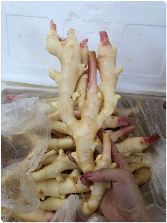 3868la������վ(����)�ɷ����޹�˾ - Make It Possible