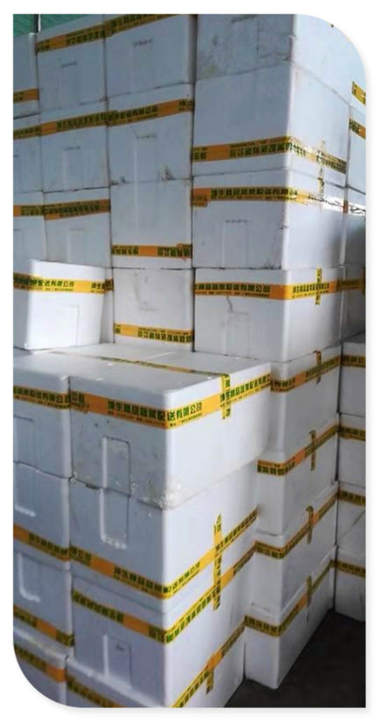 3868la������վ(����)�ɷ����޹�˾ - Make It Possible