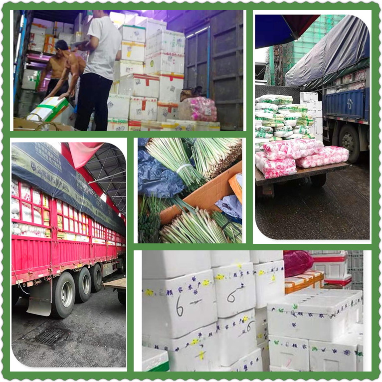 3868la������վ(����)�ɷ����޹�˾ - Make It Possible