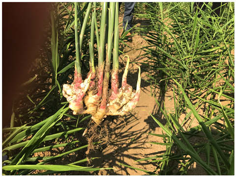 3868la������վ(����)�ɷ����޹�˾ - Make It Possible