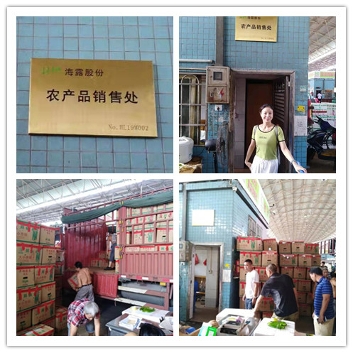 3868la������վ(����)�ɷ����޹�˾ - Make It Possible