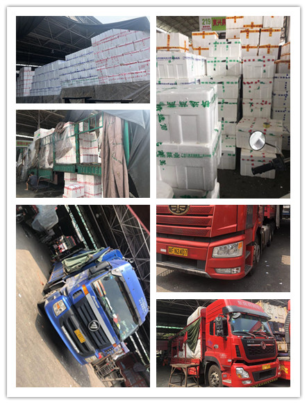 3868la������վ(����)�ɷ����޹�˾ - Make It Possible