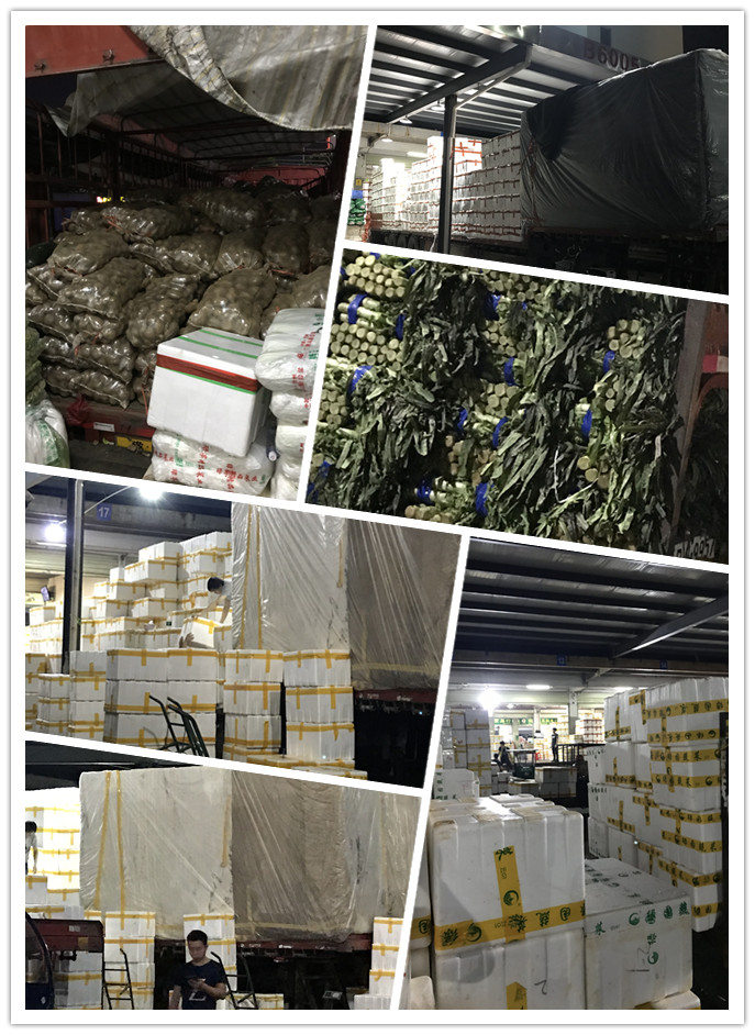 3868la������վ(����)�ɷ����޹�˾ - Make It Possible