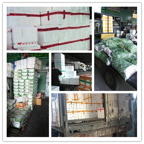 3868la������վ(����)�ɷ����޹�˾ - Make It Possible