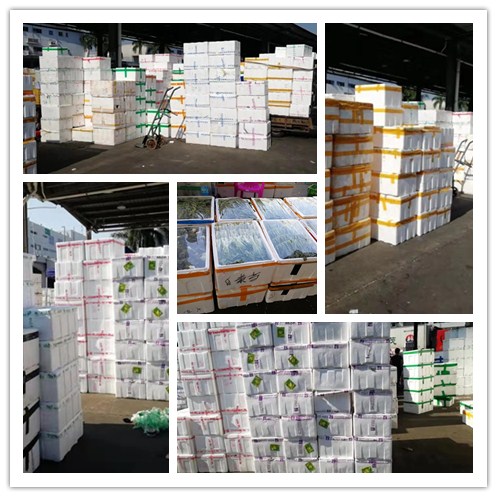 3868la������վ(����)�ɷ����޹�˾ - Make It Possible