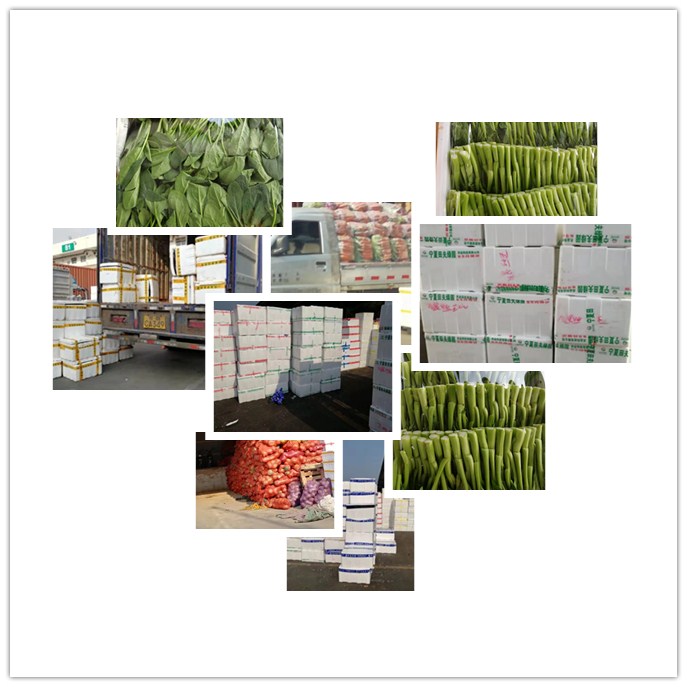 3868la������վ(����)�ɷ����޹�˾ - Make It Possible