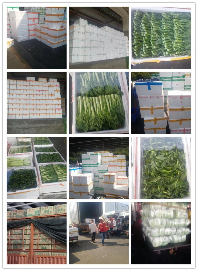 3868la������վ(����)�ɷ����޹�˾ - Make It Possible