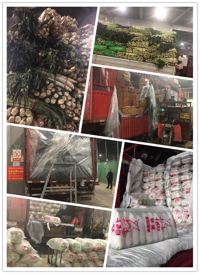 3868la������վ(����)�ɷ����޹�˾ - Make It Possible