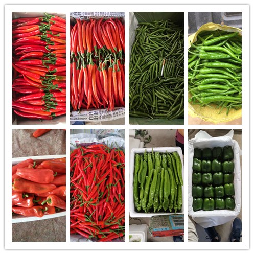 3868la������վ(����)�ɷ����޹�˾ - Make It Possible