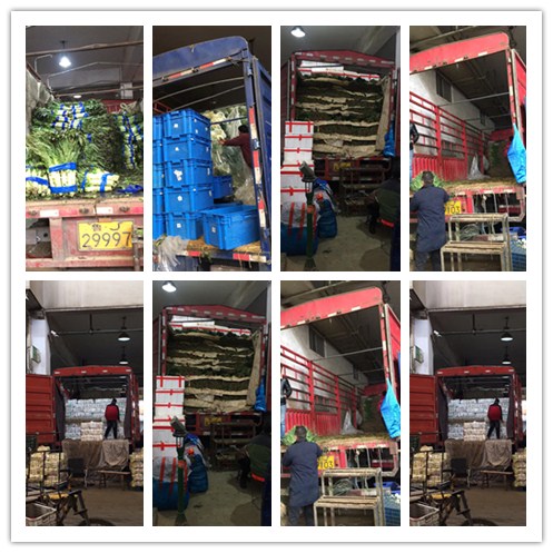 3868la������վ(����)�ɷ����޹�˾ - Make It Possible