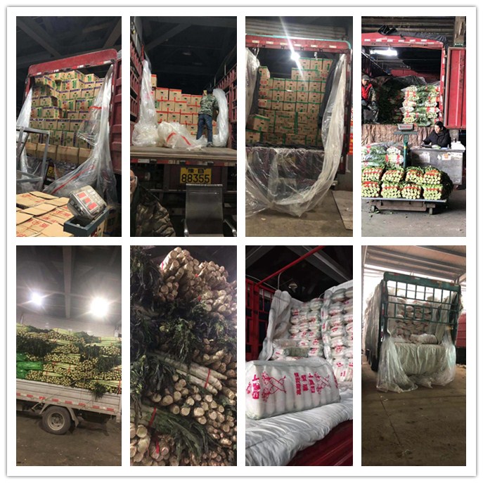 3868la������վ(����)�ɷ����޹�˾ - Make It Possible