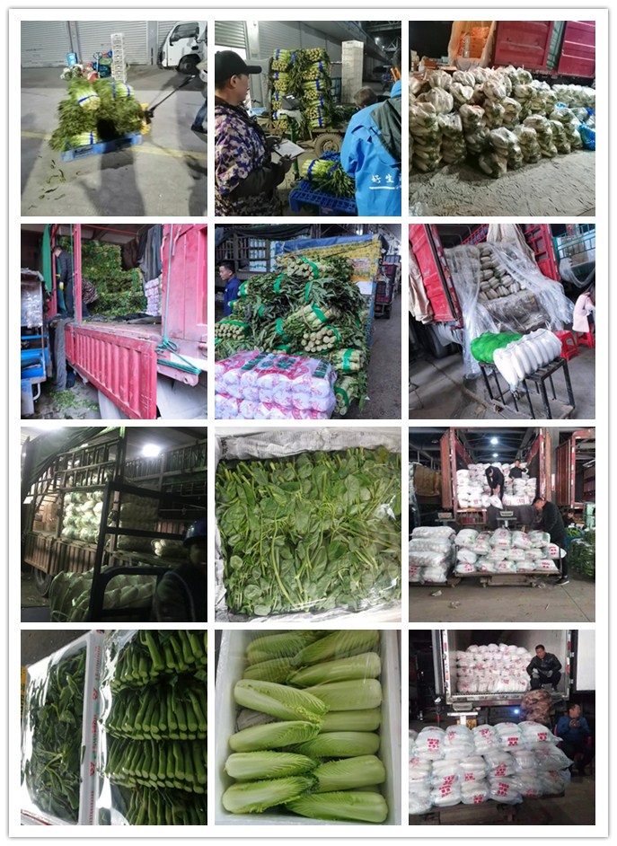 3868la������վ(����)�ɷ����޹�˾ - Make It Possible