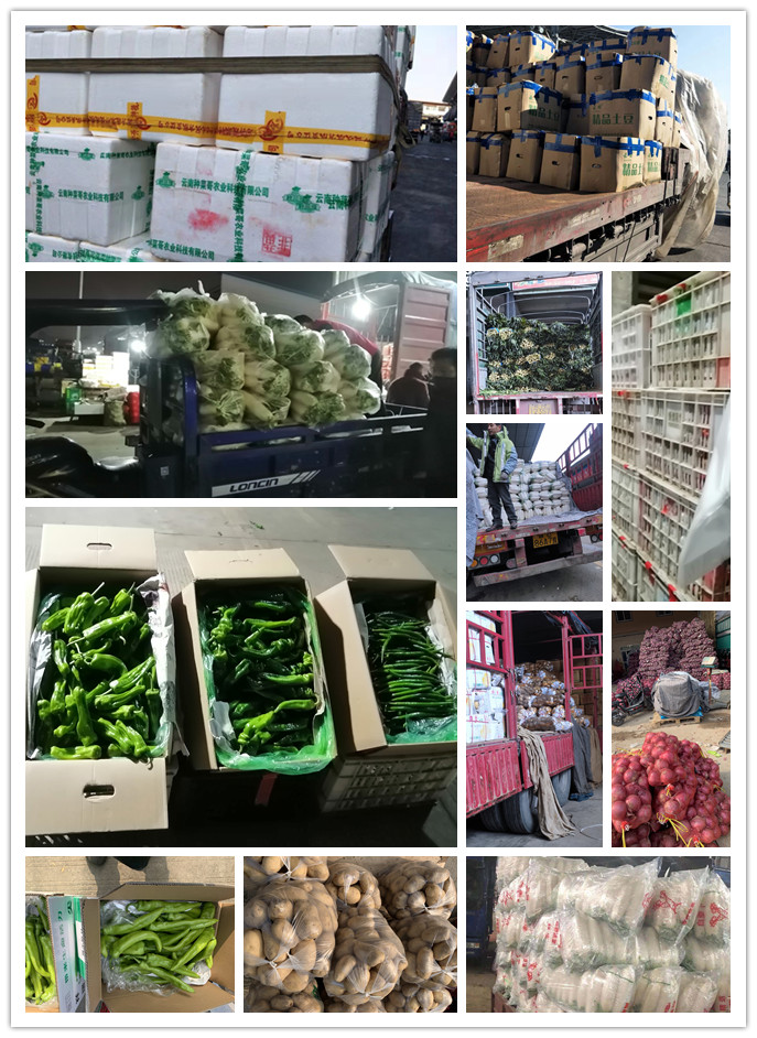 3868la������վ(����)�ɷ����޹�˾ - Make It Possible