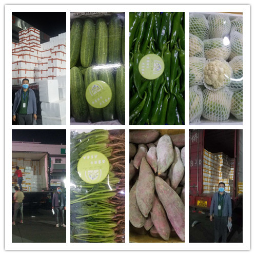 3868la������վ(����)�ɷ����޹�˾ - Make It Possible