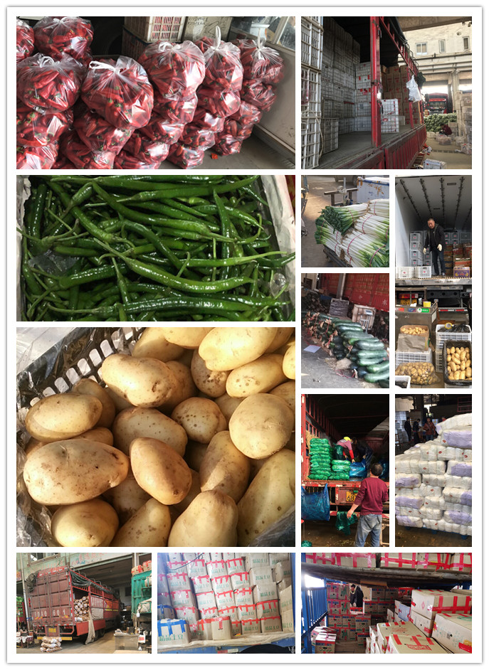 3868la������վ(����)�ɷ����޹�˾ - Make It Possible