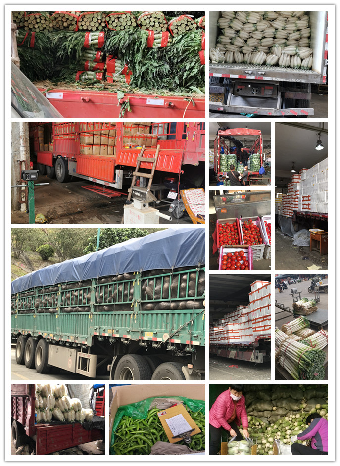 3868la������վ(����)�ɷ����޹�˾ - Make It Possible