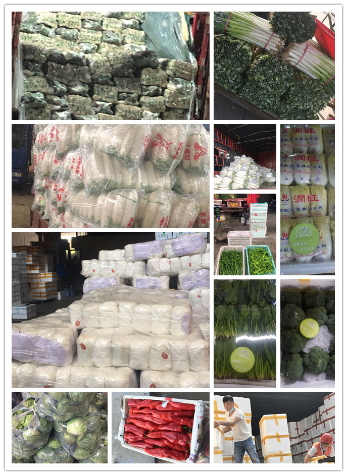 3868la������վ(����)�ɷ����޹�˾ - Make It Possible