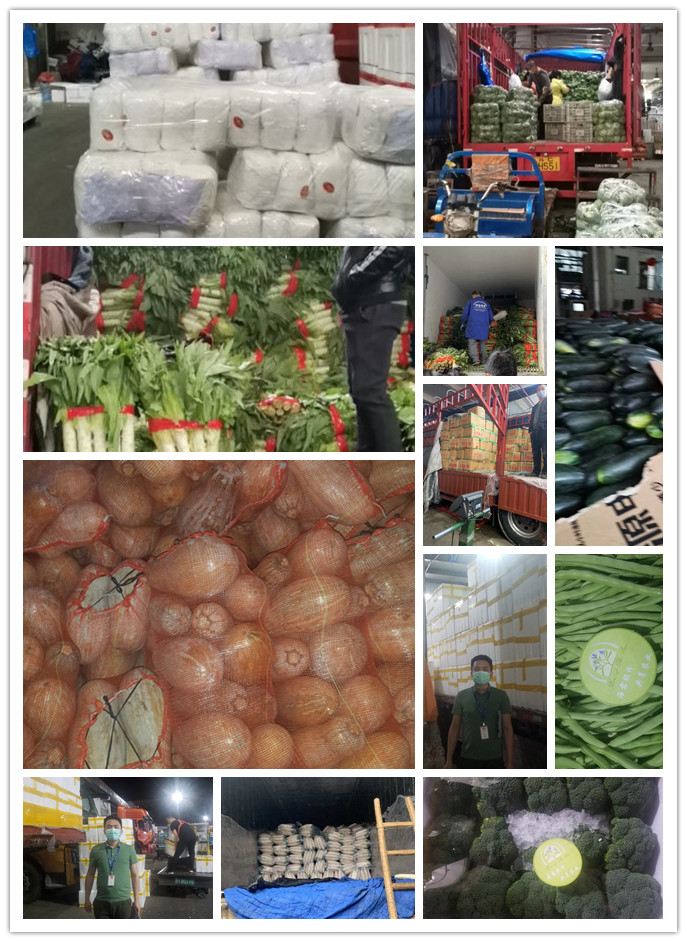 3868la������վ(����)�ɷ����޹�˾ - Make It Possible