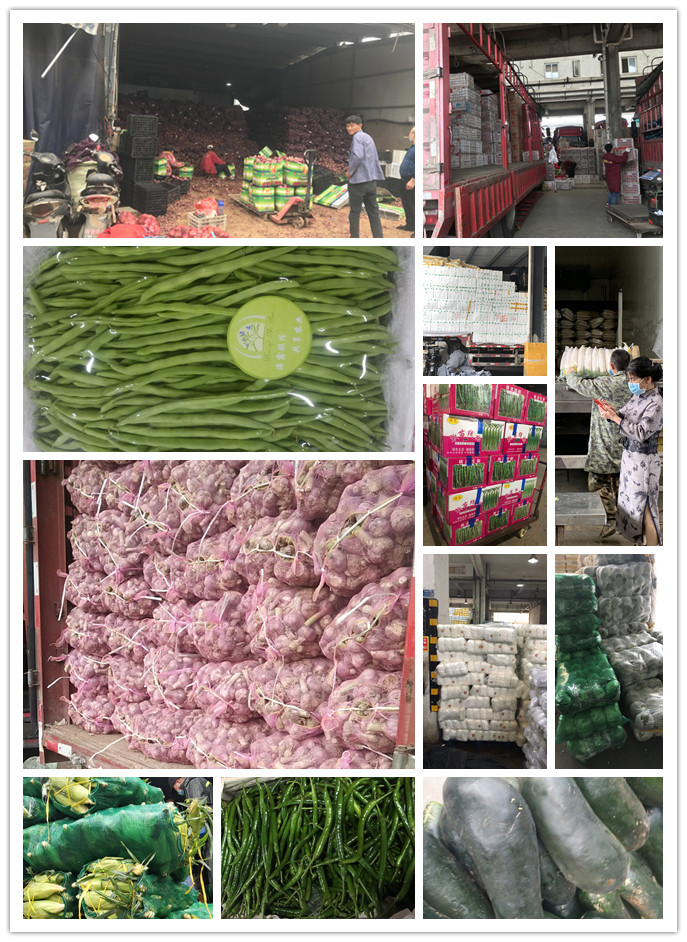 3868la������վ(����)�ɷ����޹�˾ - Make It Possible