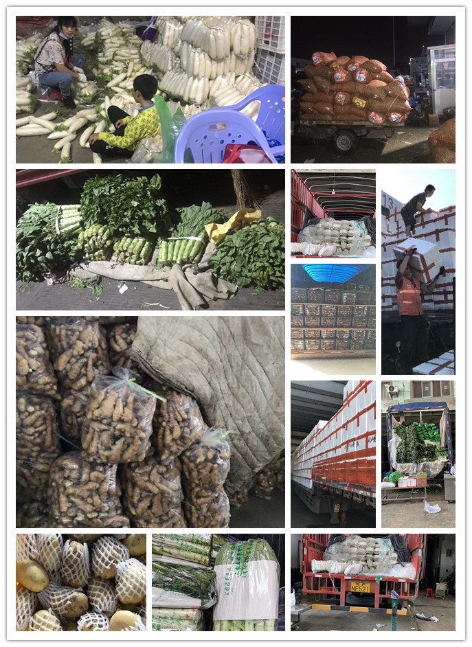 3868la������վ(����)�ɷ����޹�˾ - Make It Possible