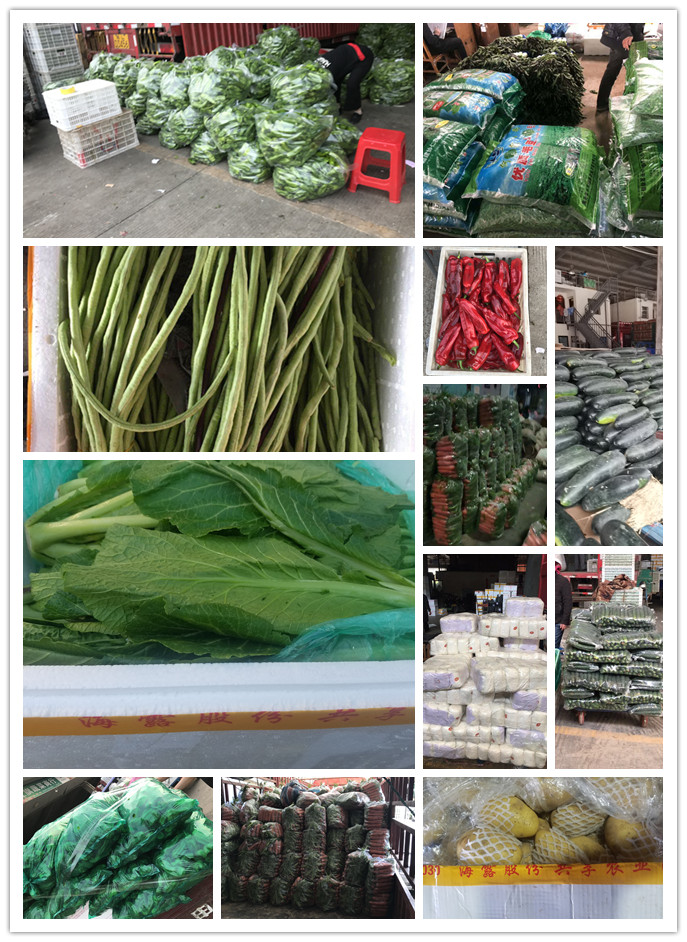 3868la������վ(����)�ɷ����޹�˾ - Make It Possible