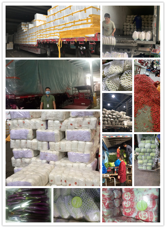 3868la������վ(����)�ɷ����޹�˾ - Make It Possible