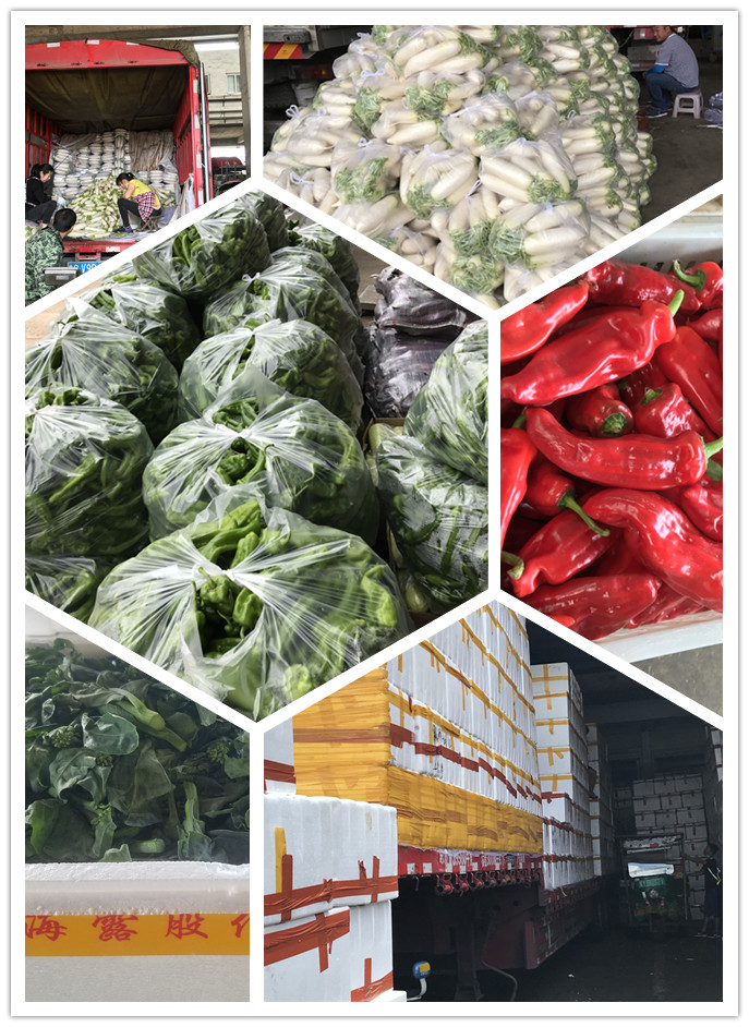 3868la������վ(����)�ɷ����޹�˾ - Make It Possible