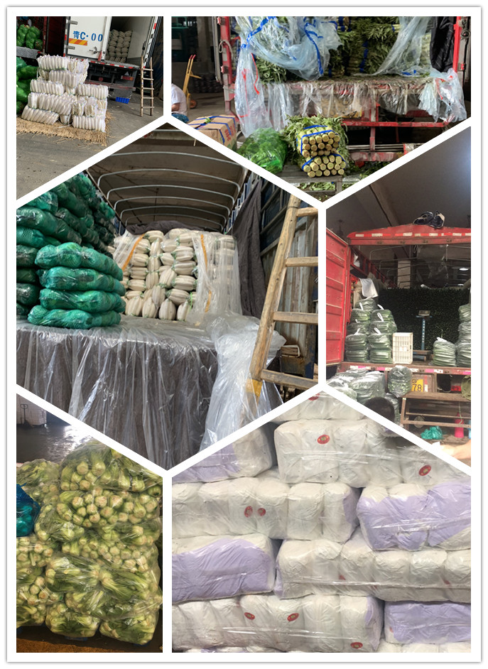 3868la������վ(����)�ɷ����޹�˾ - Make It Possible