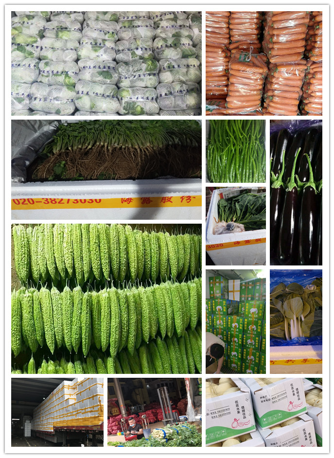 3868la������վ(����)�ɷ����޹�˾ - Make It Possible