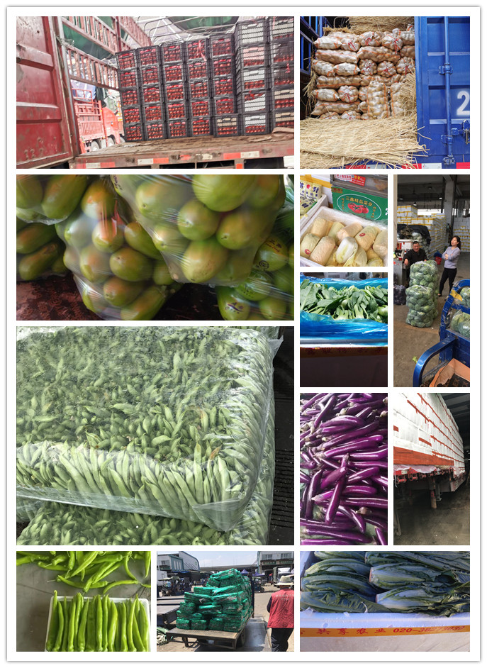 3868la������վ(����)�ɷ����޹�˾ - Make It Possible
