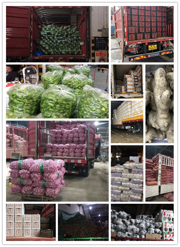 3868la������վ(����)�ɷ����޹�˾ - Make It Possible