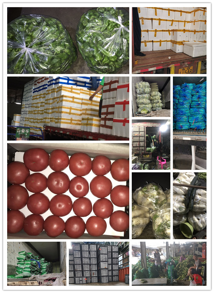 3868la������վ(����)�ɷ����޹�˾ - Make It Possible
