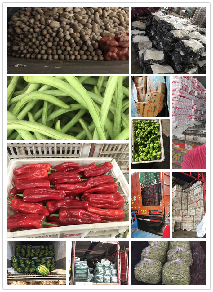 3868la������վ(����)�ɷ����޹�˾ - Make It Possible