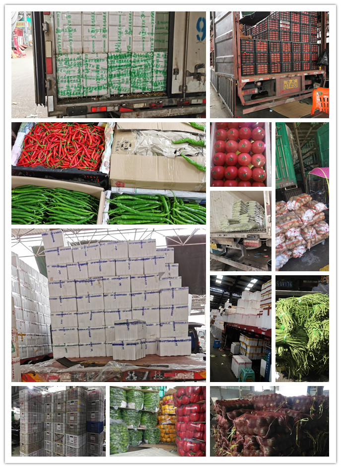 3868la������վ(����)�ɷ����޹�˾ - Make It Possible