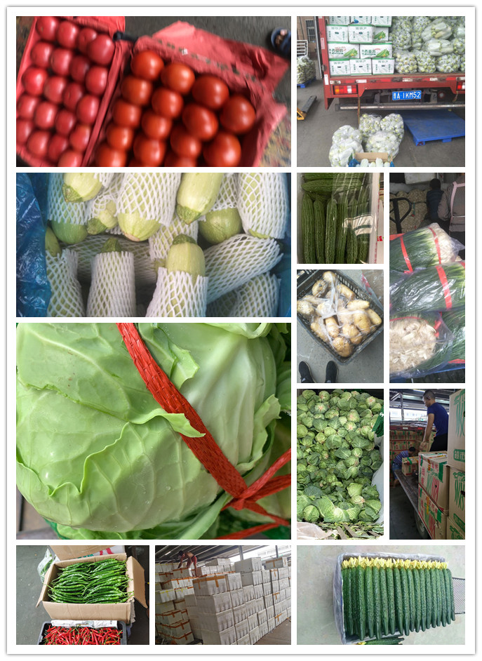 3868la������վ(����)�ɷ����޹�˾ - Make It Possible