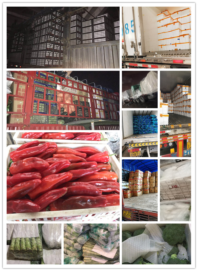3868la������վ(����)�ɷ����޹�˾ - Make It Possible