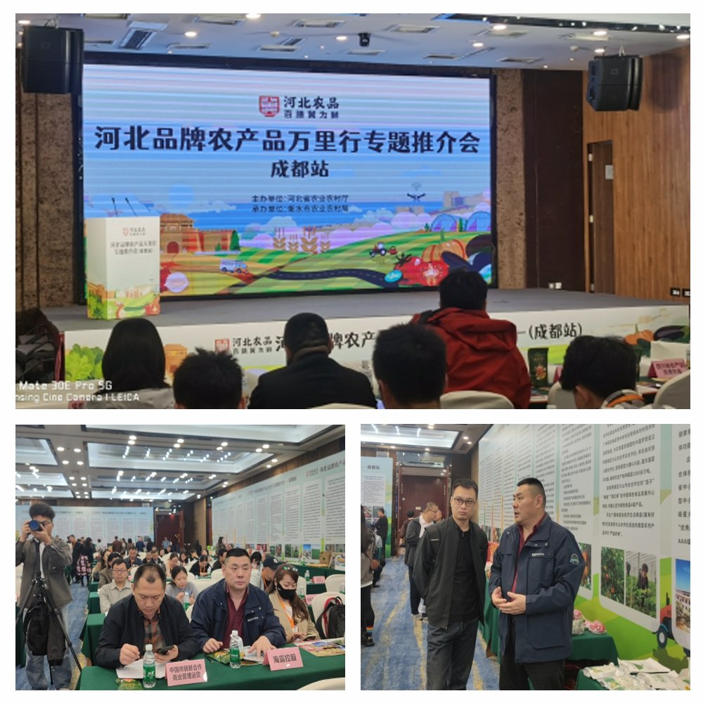 1-24102416292DM 3868la银河总站(集团)股份有限公司 - Make It Possible