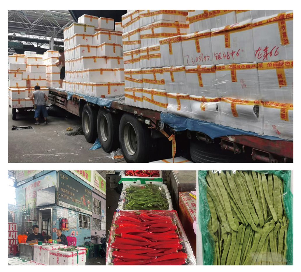 3868la������վ(����)�ɷ����޹�˾ - Make It Possible