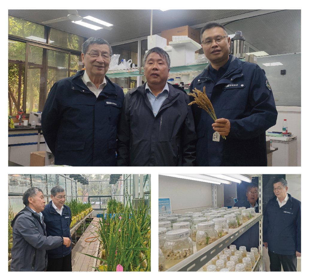3868la������վ(����)�ɷ����޹�˾ - Make It Possible
